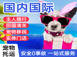 宝安机场托运国际宠物托运 【国